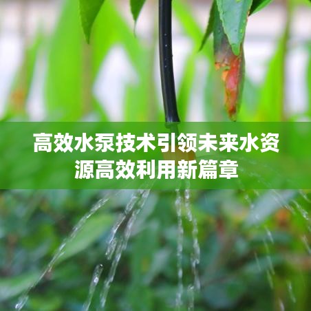 高效水泵技术引领未来水资源高效利用新篇章