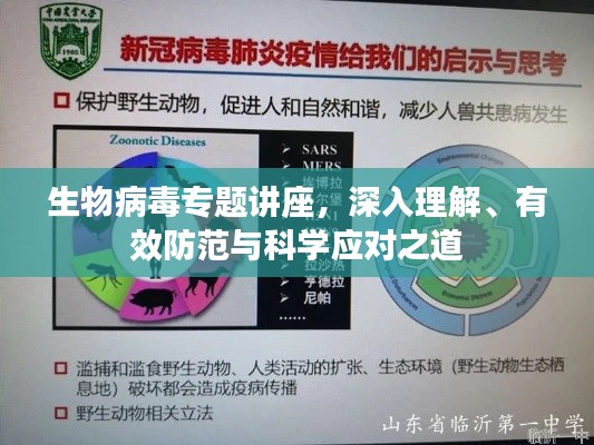 生物病毒专题讲座，深入理解、有效防范与科学应对之道