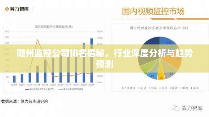 随州监控公司排名揭秘，行业深度分析与趋势预测