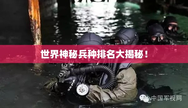 世界神秘兵种排名大揭秘！