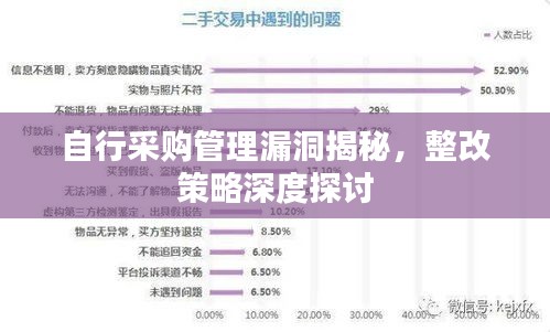 自行采购管理漏洞揭秘，整改策略深度探讨
