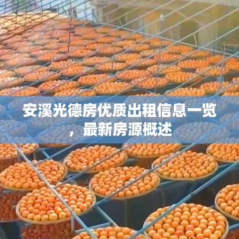安溪光德房优质出租信息一览，最新房源概述