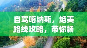 自驾喀纳斯，绝美路线攻略，带你畅游仙境！