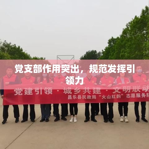 党支部作用突出，规范发挥引领力