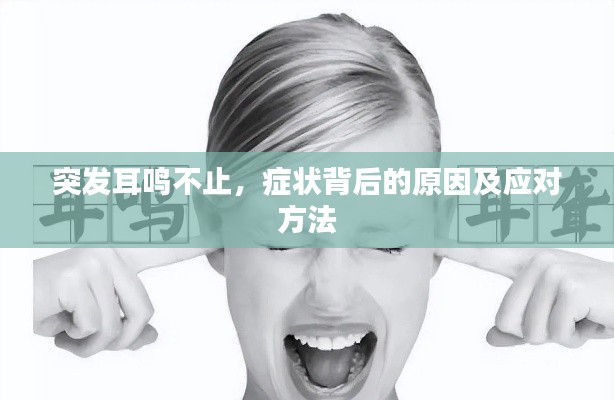 突发耳鸣不止，症状背后的原因及应对方法