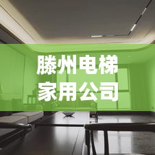 滕州电梯家用公司排名揭晓，优质品牌竞争榜单出炉！