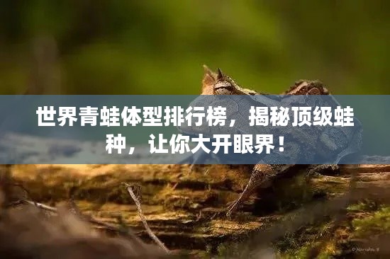 世界青蛙体型排行榜，揭秘顶级蛙种，让你大开眼界！