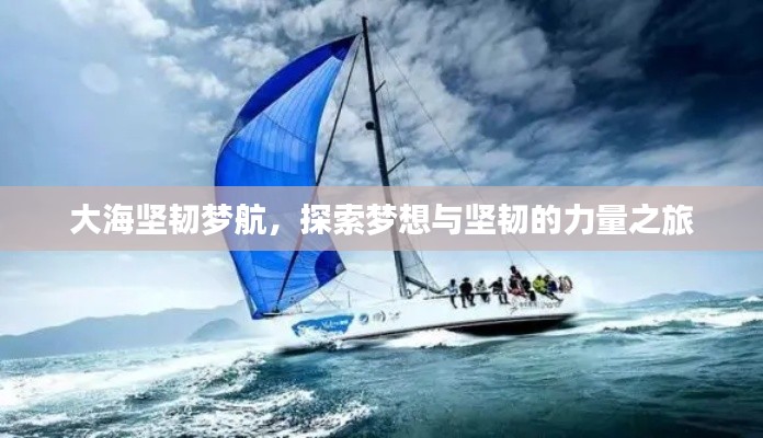 大海坚韧梦航，探索梦想与坚韧的力量之旅