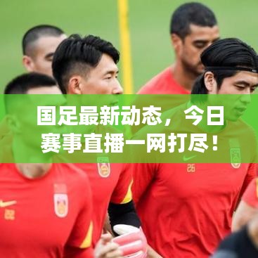 国足最新动态，今日赛事直播一网打尽！