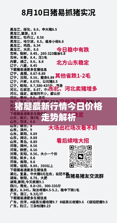 猪腿最新行情今日价格走势解析