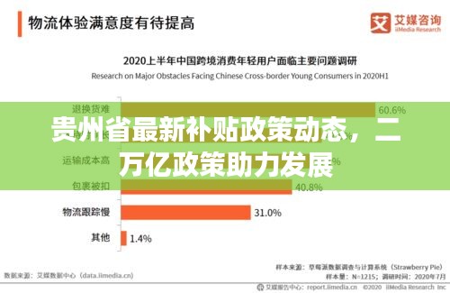 贵州省最新补贴政策动态，二万亿政策助力发展