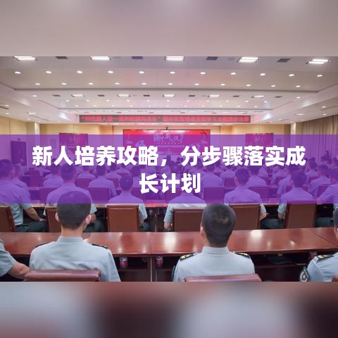 新人培养攻略，分步骤落实成长计划