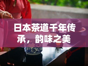 日本茶道千年传承，韵味之美深度探索，茶道文化宣传广告