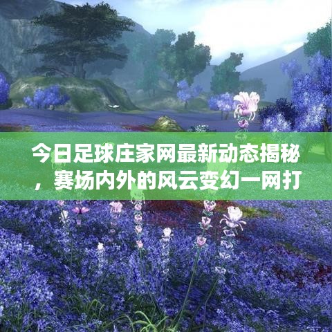 今日足球庄家网最新动态揭秘，赛场内外的风云变幻一网打尽