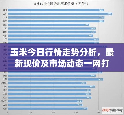 玉米今日行情走势分析，最新现价及市场动态一网打尽