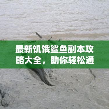最新饥饿鲨鱼副本攻略大全，助你轻松通关！