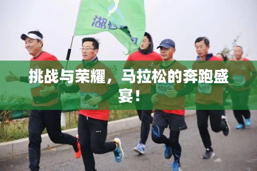 挑战与荣耀，马拉松的奔跑盛宴！