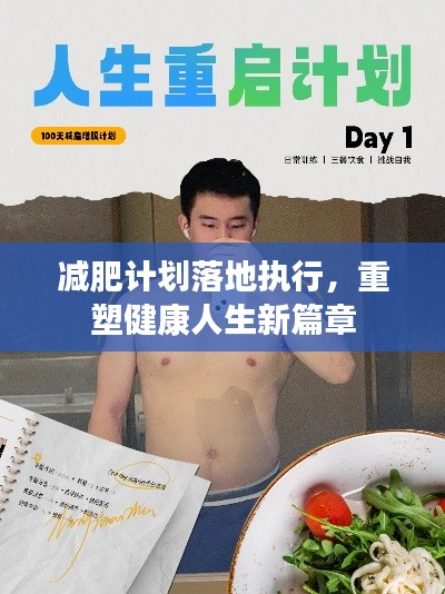减肥计划落地执行，重塑健康人生新篇章