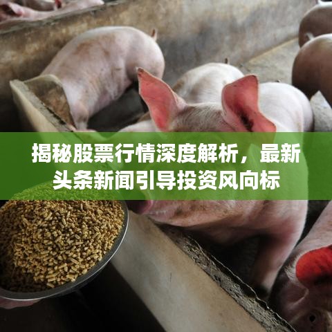 揭秘股票行情深度解析，最新头条新闻引导投资风向标
