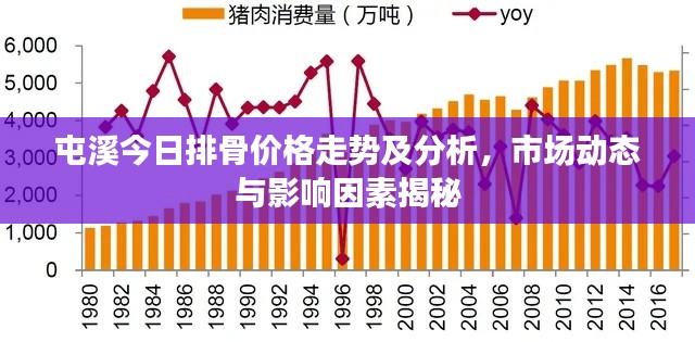 屯溪今日排骨价格走势及分析，市场动态与影响因素揭秘