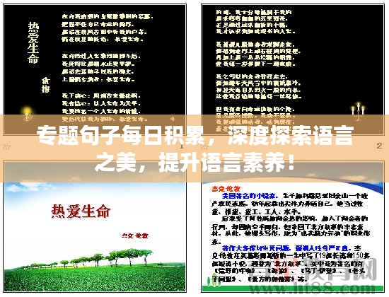 专题句子每日积累，深度探索语言之美，提升语言素养！