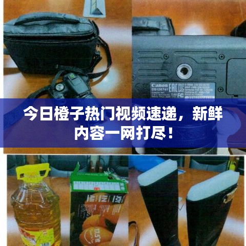 今日橙子热门视频速递，新鲜内容一网打尽！