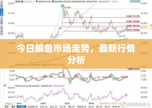 今日鳊鱼市场走势，最新行情分析