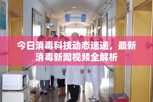 今日消毒科技动态速递，最新消毒新闻视频全解析