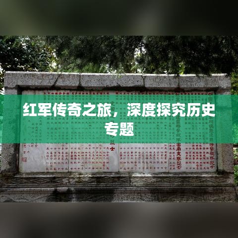 红军传奇之旅，深度探究历史专题