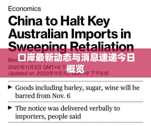 口岸最新动态与消息速递今日概览