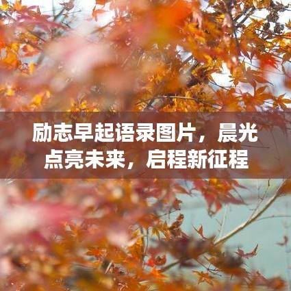 励志早起语录图片，晨光点亮未来，启程新征程