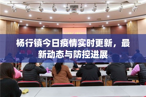 杨行镇今日疫情实时更新，最新动态与防控进展