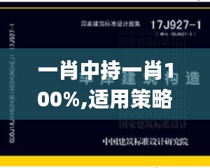 一肖中持一肖100%,适用策略设计_挑战款56.177-9