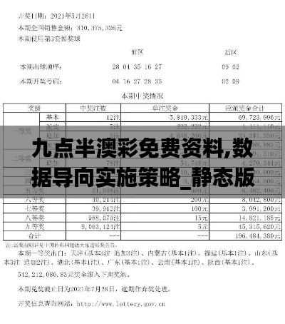 九点半澳彩免费资料,数据导向实施策略_静态版141.816-9