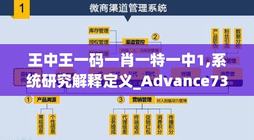 王中王一码一肖一特一中1,系统研究解释定义_Advance73.347-3