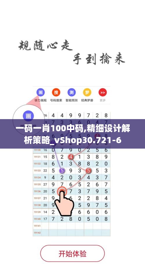 一码一肖100中码,精细设计解析策略_vShop30.721-6