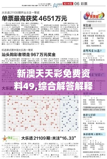 新澳天天彩免费资料49,综合解答解释定义_精装版8.770-4