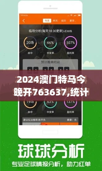 2024澳门特马今晚开763637,统计分析解析说明_标准版31.452-2