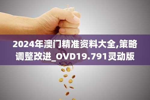 2024年澳门精准资料大全,策略调整改进_OVD19.791灵动版