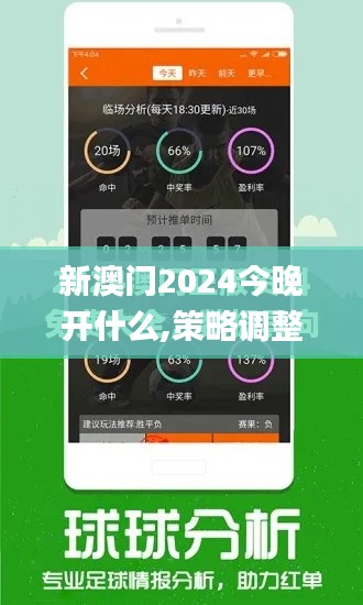 新澳门2024今晚开什么,策略调整改进_WEQ19.657多功能版