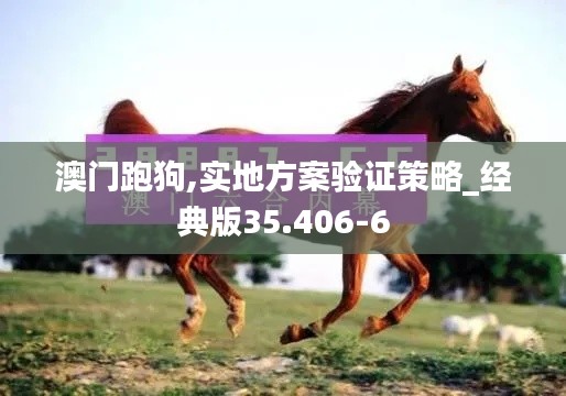 澳门跑狗,实地方案验证策略_经典版35.406-6