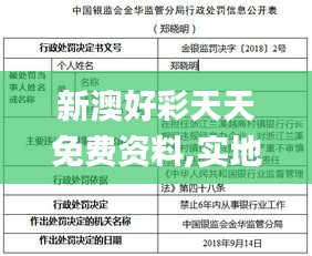 新澳好彩天天免费资料,实地验证策略数据_VIP16.782-6