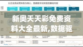 新奥天天彩免费资料大全最新,数据驱动策略设计_户外版178.307-1