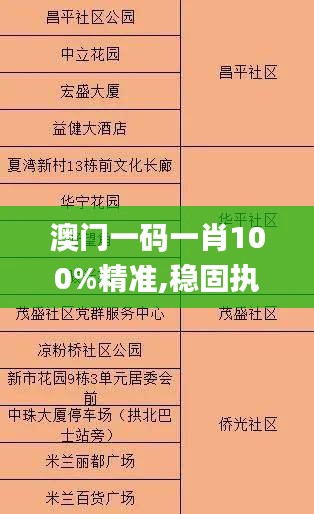 澳门一码一肖100%精准,稳固执行方案计划_YZC29.769体现版