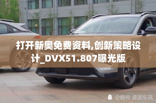 打开新奥免费资料,创新策略设计_DVX51.807曝光版