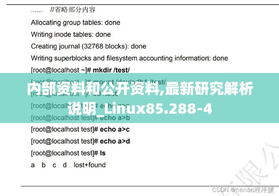 内部资料和公开资料,最新研究解析说明_Linux85.288-4