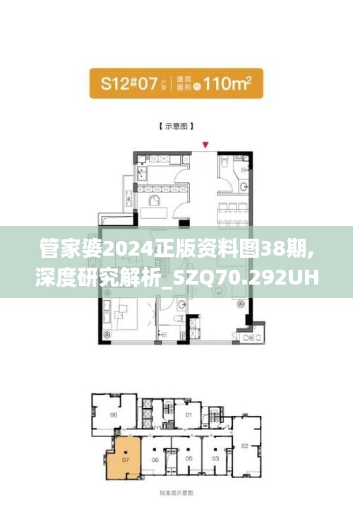 管家婆2024正版资料图38期,深度研究解析_SZQ70.292UHD