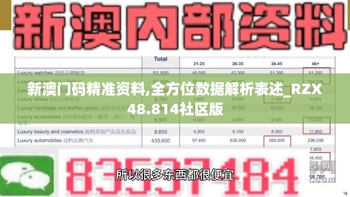 新澳门码精准资料,全方位数据解析表述_RZX48.814社区版