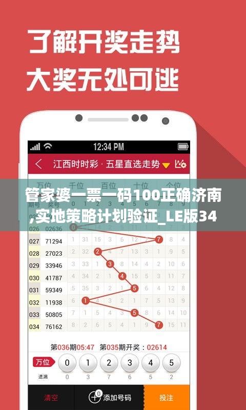 管家婆一票一码100正确济南,实地策略计划验证_LE版34.464-3