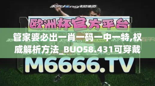 管家婆必出一肖一码一中一特,权威解析方法_BUO58.431可穿戴设备版